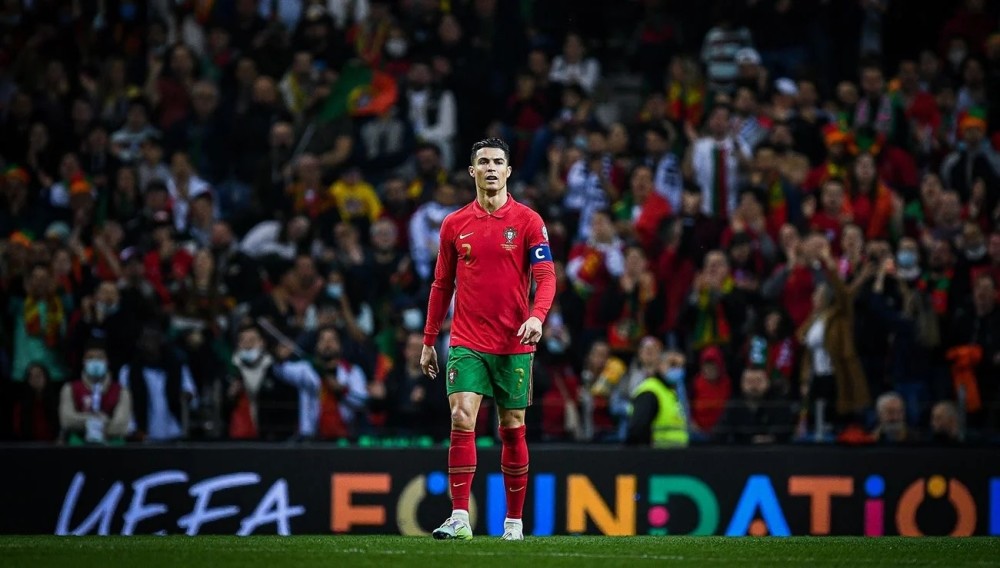 company-service-module